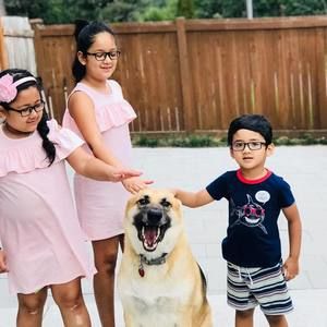 Meet your Posher, Saru